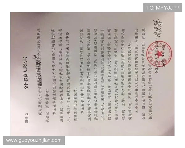 凯发网站登录入口无法访问怎么办，全面解决登录异常与安全问题的实用技巧